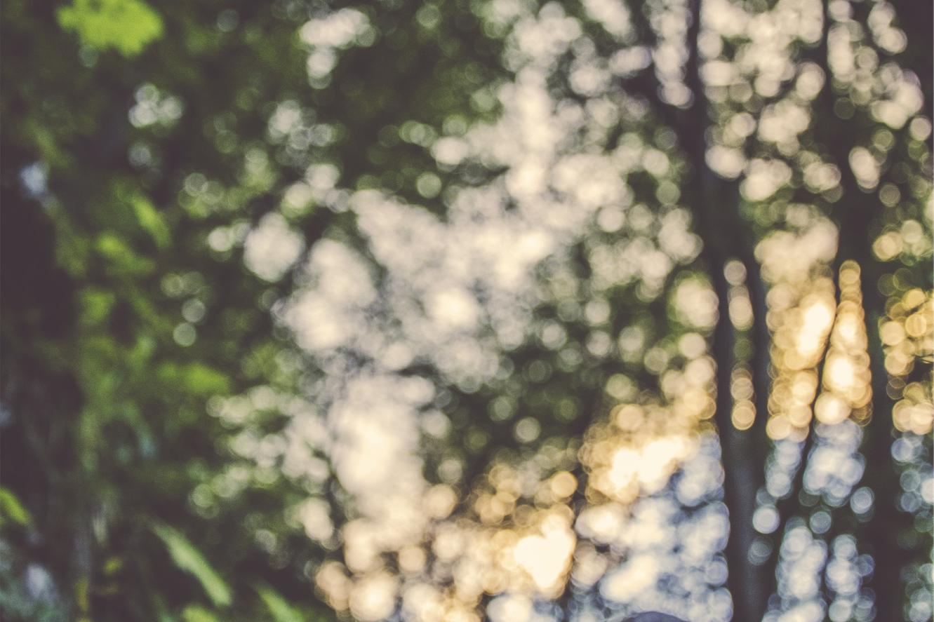 Ipsam odit assumenda eos placeat est