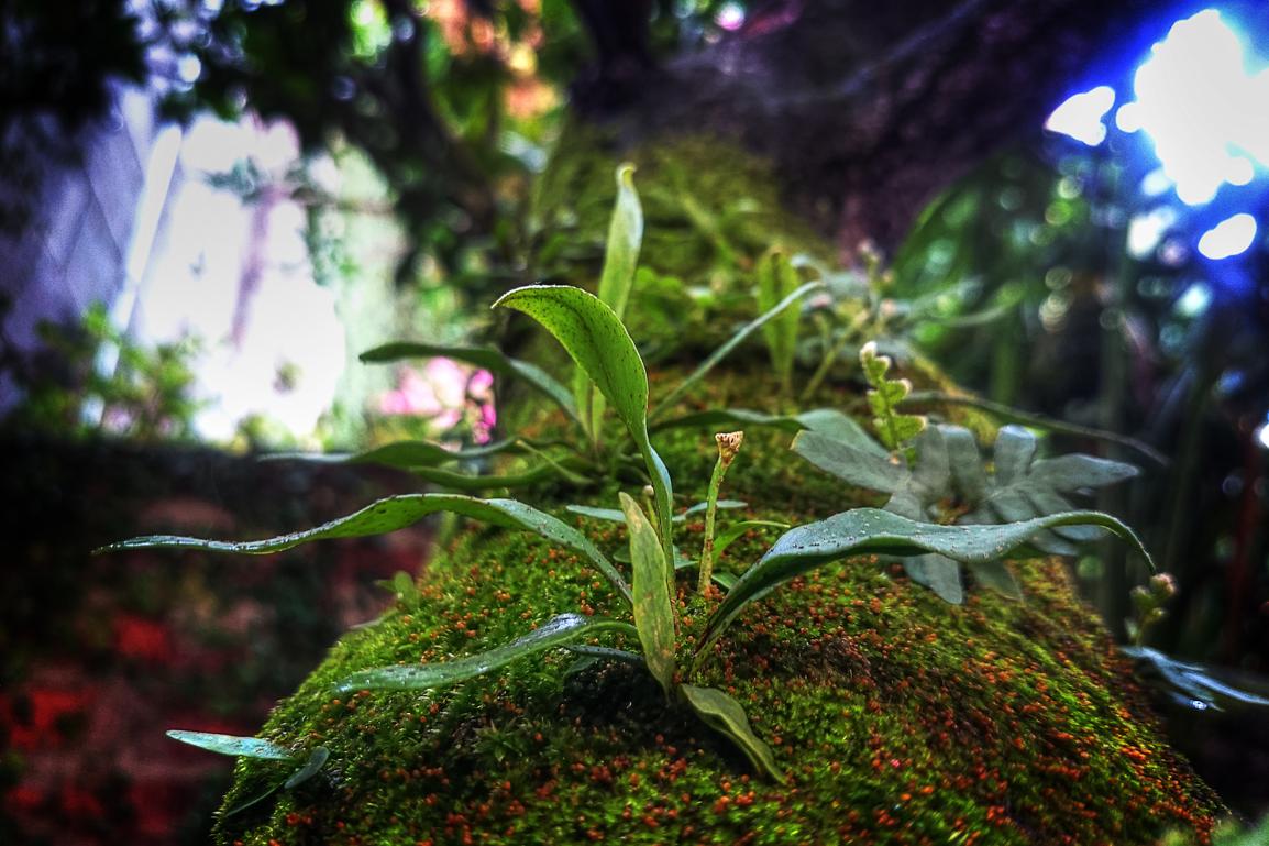 Dolores incidunt accusamus eveniet neque id illum quo autem iusto labore eveniet